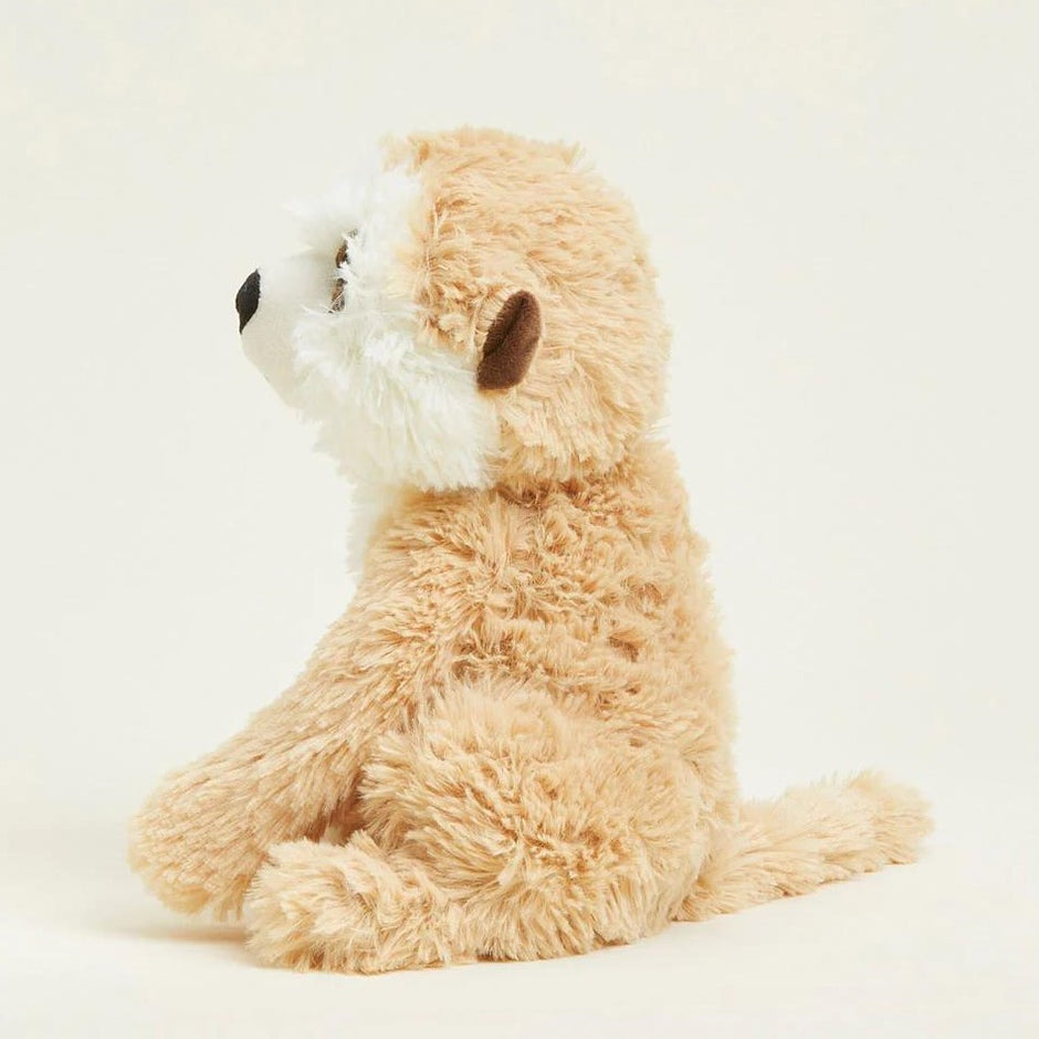 Toys & Plush Adjectives Market