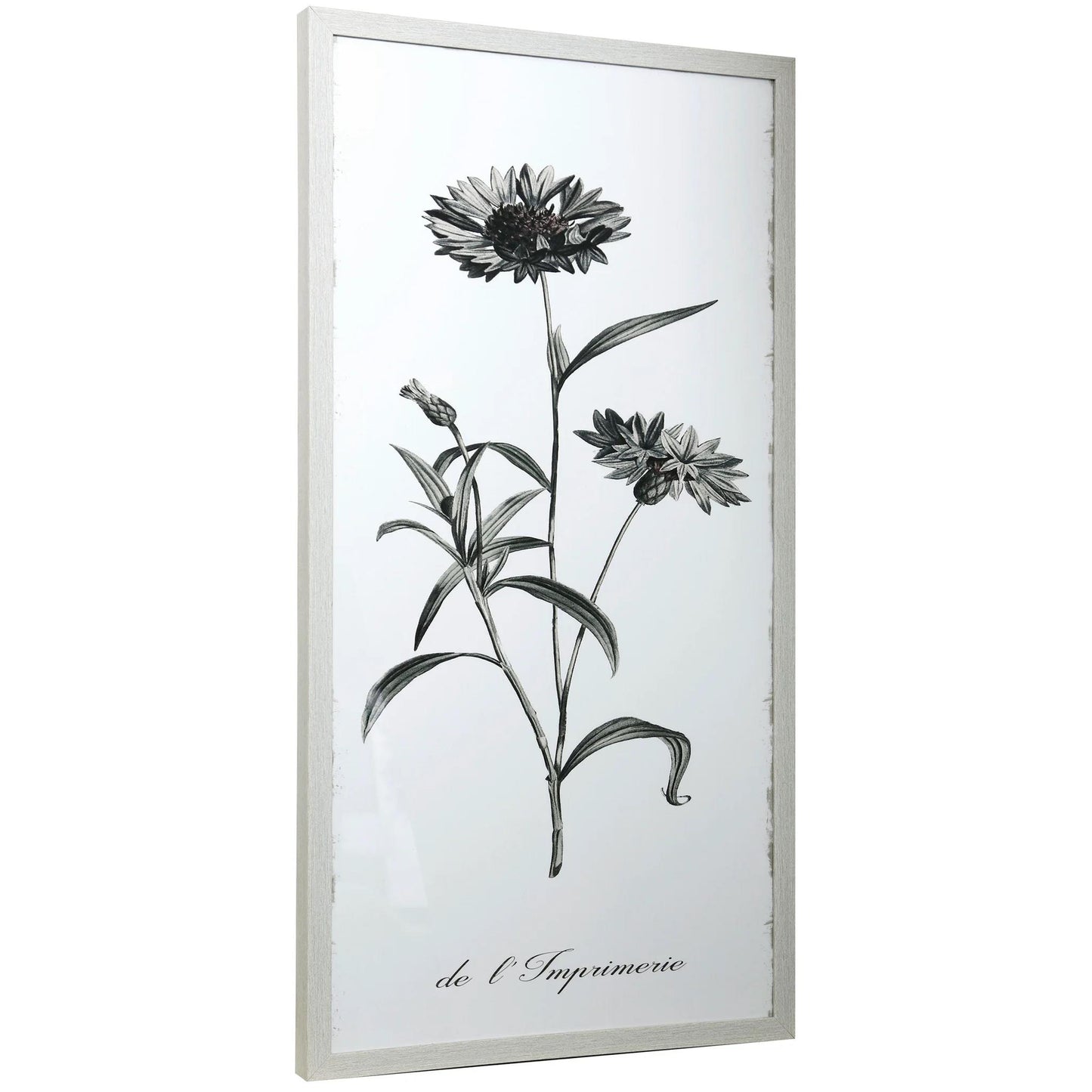 Black and white botanical flower sketch in a white frame.