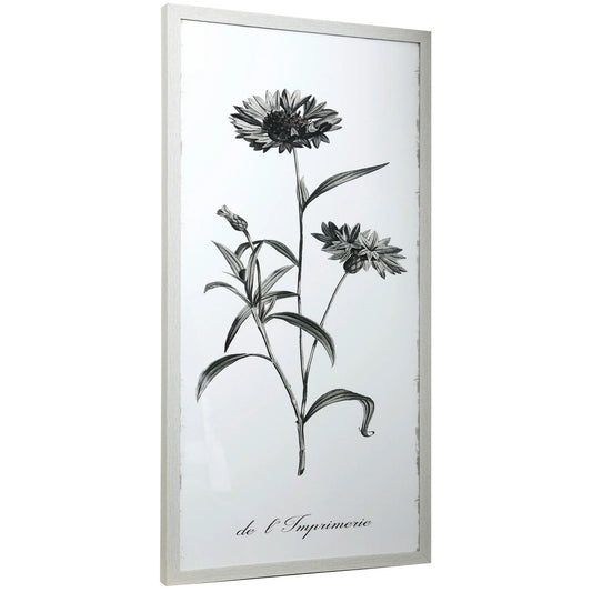 Black and white botanical flower sketch in a white frame.