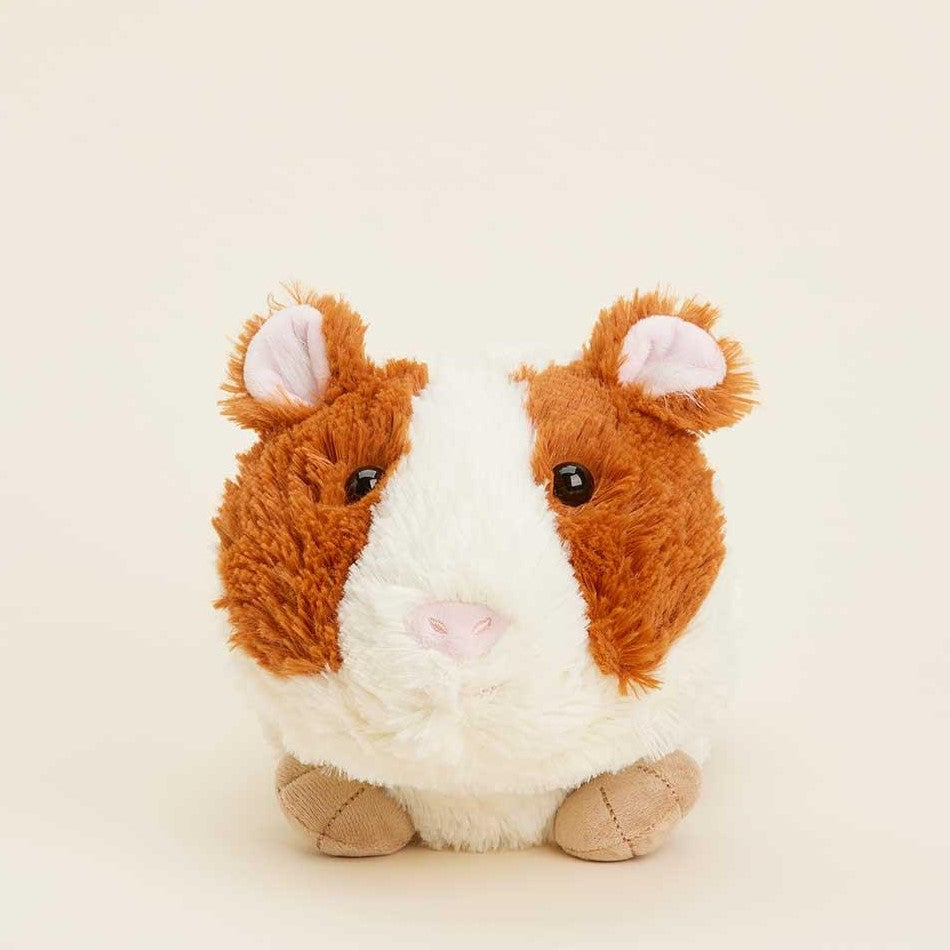 Picture of Guinea Pig Warmies