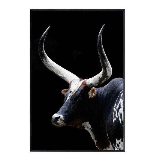 Bull with large horns against a black background.