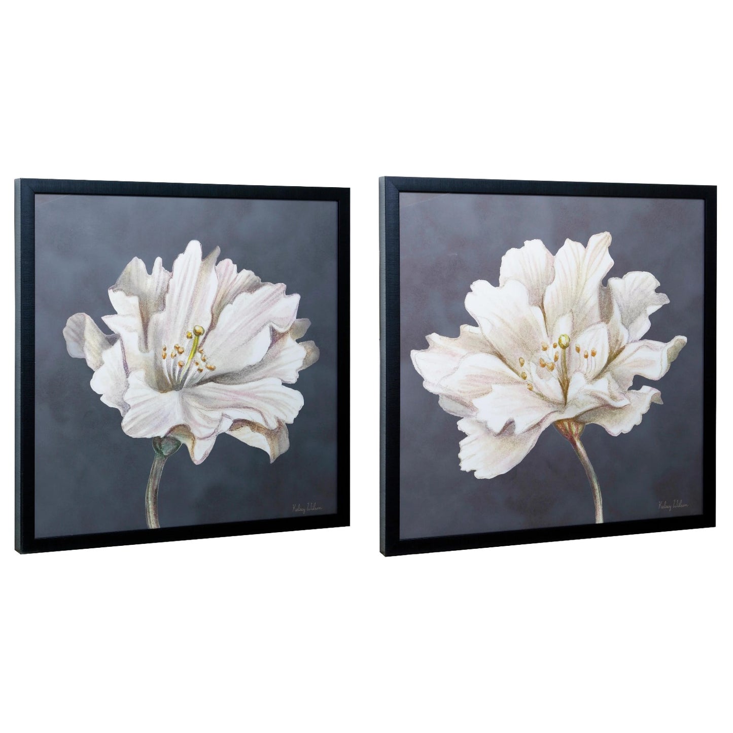 Two framed floral paintings with white petals on a dark background.