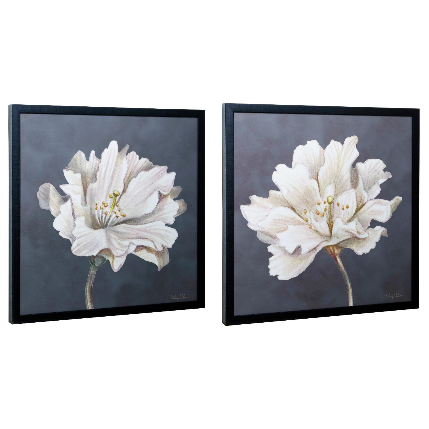 Two framed floral paintings with white petals on a dark background.