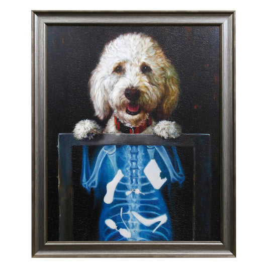 Dog with X-ray showing funny items inside.