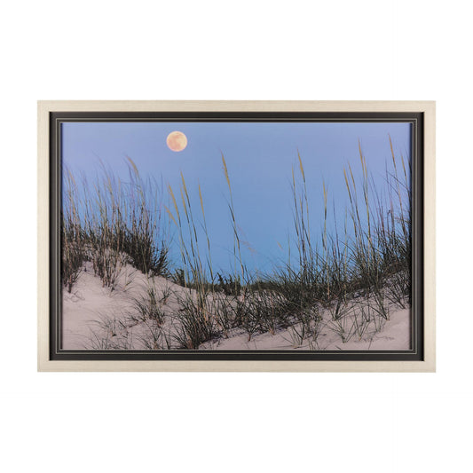Picture of "Moonlight Dunes" Framed Wall Art