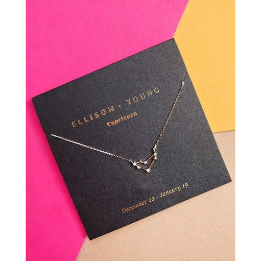 Silver Capricorn necklace on black card with colorful background.