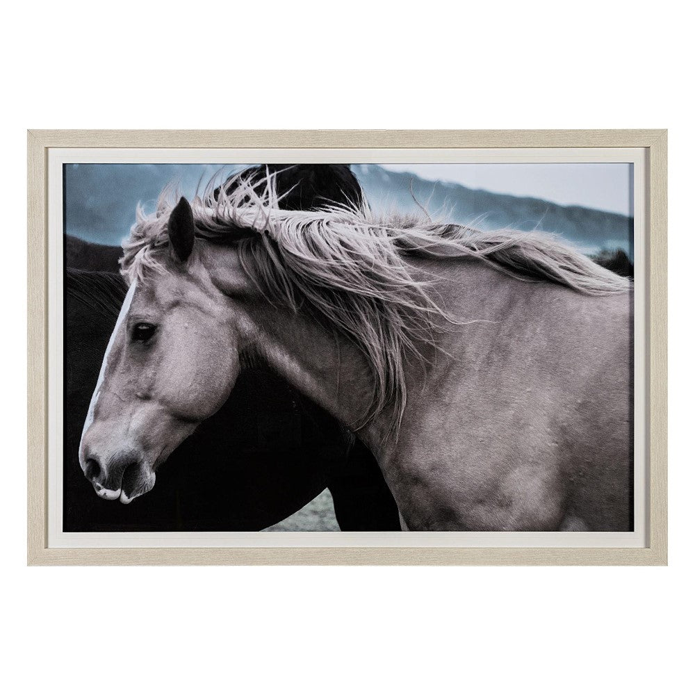 Elegant horse with flowing mane in a serene, framed photo.