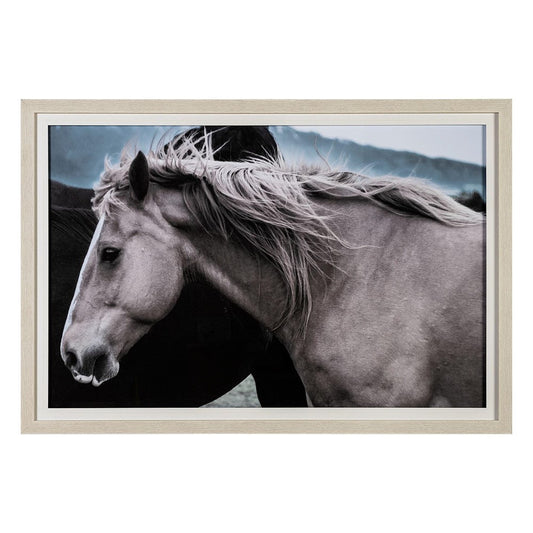 Elegant horse with flowing mane in a serene, framed photo.