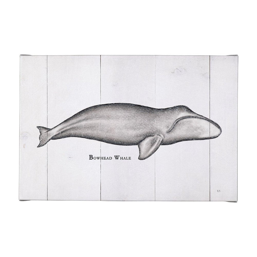 Picture of Bowhead Whale Canvas Wall Art