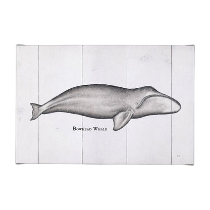 Picture of Bowhead Whale Canvas Wall Art