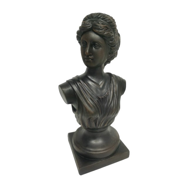 Picture of Venus Bronzed Bust