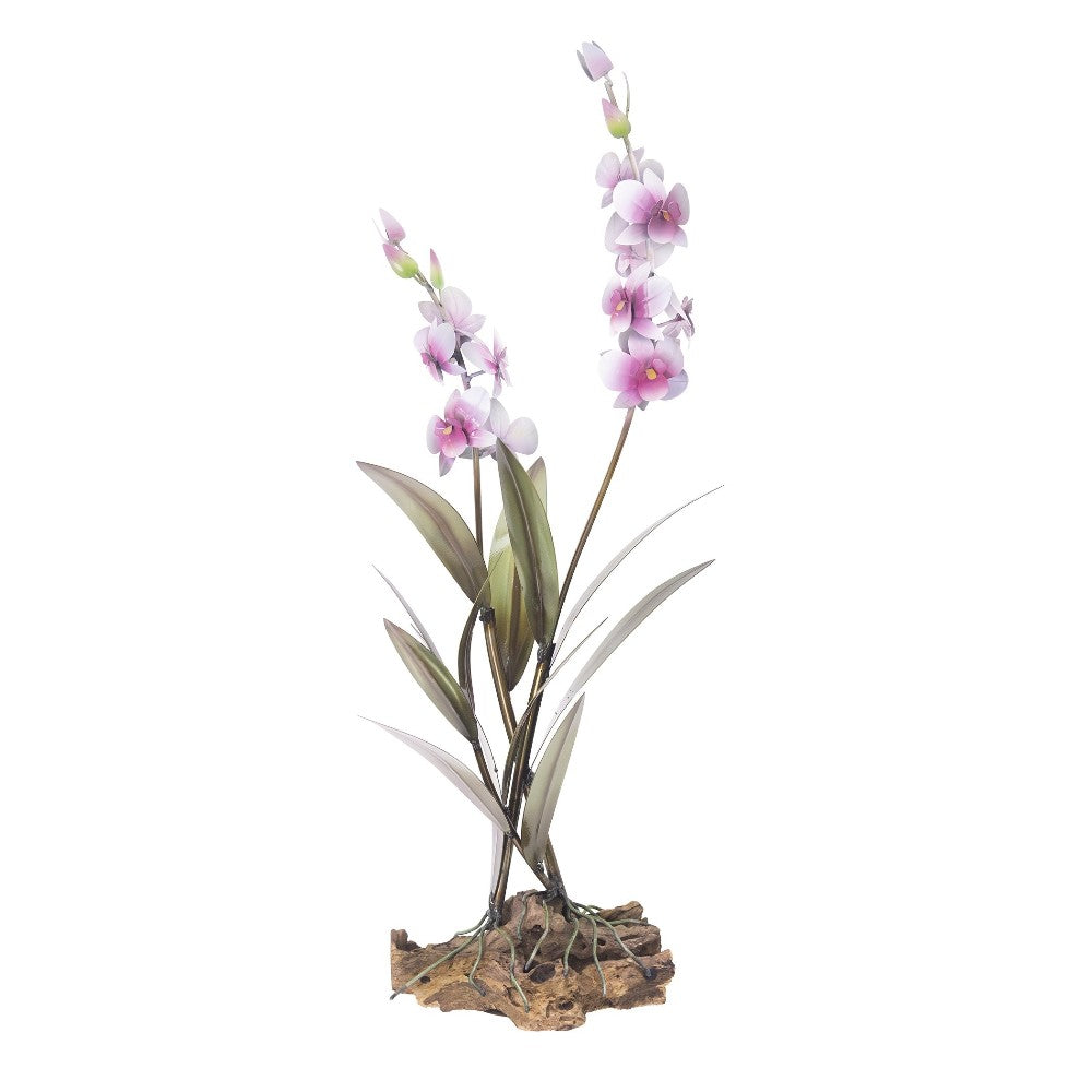 Elegant purple orchids on a wooden base.