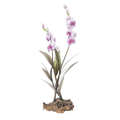 Elegant purple orchids on a wooden base.