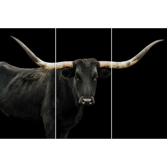 Picture of Long Horn Triptych