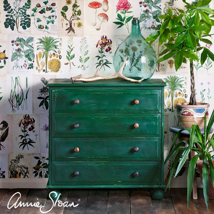 Annie Sloan Chalk Paint - Amsterdam Green